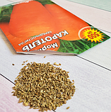 Насіння моркви Каротель, фото 4