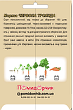Насіння моркви сорт Червона Троянда Середньостиглий 500 шт, фото 3