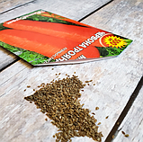 Насіння моркви Червона троянда, фото 6