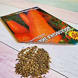 Насіння моркви Московська зимова, фото 6