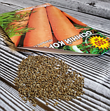 Насіння моркви Осінній король, фото 6