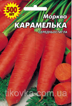 Насіння моркви сорт Сорт Ранньостиглий 500 шт, фото 1