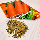 Насіння моркви Карамелька, фото 6