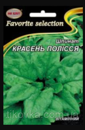Насіння салату сорт Красень Полісся Середньостиглий 10 г НК Еліт