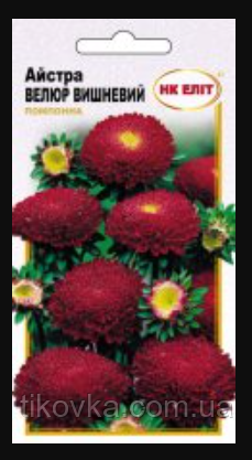 Насіння квітів Астра Велюр помпонна вишневий 0,3 г НК Еліт, фото 1