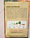 Насіння моркви сорт Мармеладка Середньостиглий 500 шт, фото 5