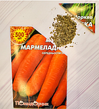 Насіння моркви сорт Мармеладка Середньостиглий 500 шт, фото 6