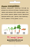 Насіння моркви сорт Солодкоїжка Суперранній 500 шт, фото 3