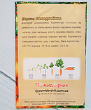 Насіння моркви сорт Солодкоїжка Суперранній 500 шт, фото 5
