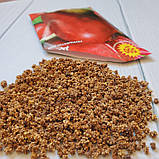 Насіння буряка Дій, фото 3