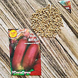 Насіння буряка Вітал, фото 3