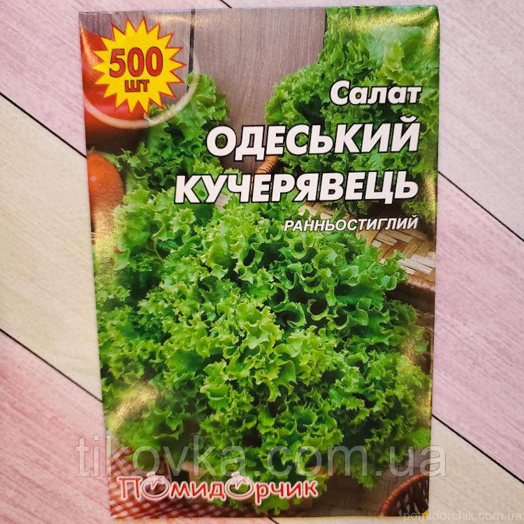 Насіння салату сорт Кучерявець Одеський Середньопізній 500 шт