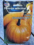 Насіння гарбуза Коннектикут 10 г НК Еліт, фото 2