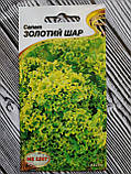 Насіння салату Золота куля 1 г НК Еліт, фото 2