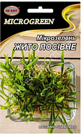 Насіння Мікрозелені сорт Жито Органічна Ранньостиглий 50 г НК Еліт