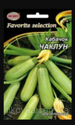Насіння кабачка сорт Чаклун Середньоранній 20 г НК Еліт