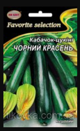 Насіння кабачка сорт Чорний Красень Ранньостиглий 20 г НК Еліт