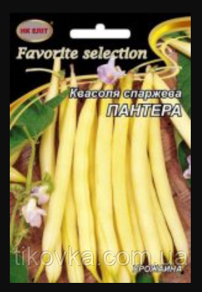 Насіння квасолі сорт Пантера Ранньостиглий 20 г НК Еліт