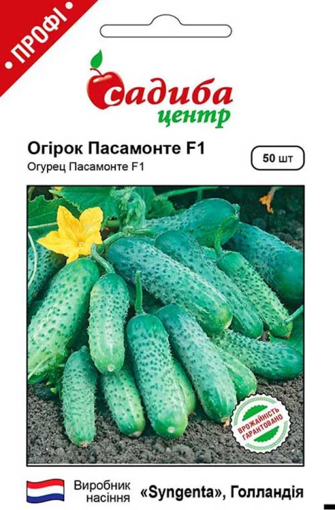Огірок Пасамонте F1, 50 шт., СЦ, фото 1