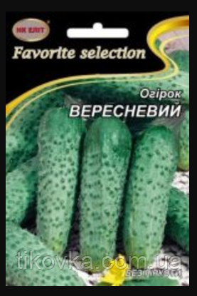 Насіння огірків сорт Вересневий Середньостиглий 5 г НК Еліт