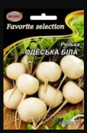 Насіння редьки сорт Одеська Біла Ранньостиглий 10 г НК Еліт