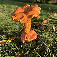 Садова фігура Гриби лисички (26х15х13 см), фігурки грибів для саду, садові статуетки, садові фігури з полістоуну