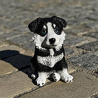 Садова фігура Цуценя хаски, кольорове  (17х11х13 см), садові фігури з полістоуну, садові статуетки