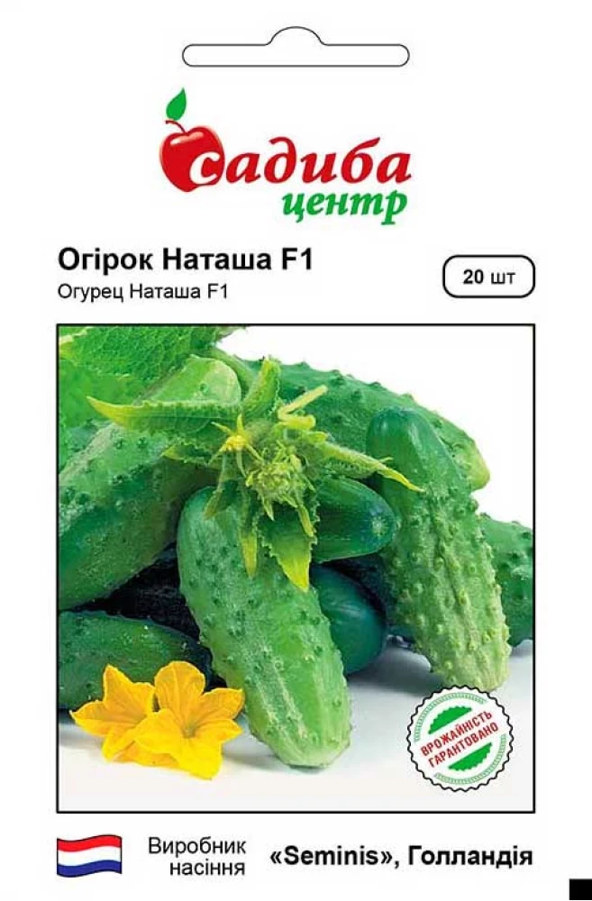 Огірок Наташа F1, 20 шт., СЦ, фото 1