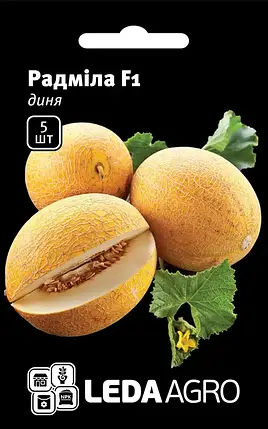 Насіння дині Радміла F1 — 5 сем — ранній (60-65 дн), овальна. Солодка! тип Ананас LEDAAGRO, фото 1