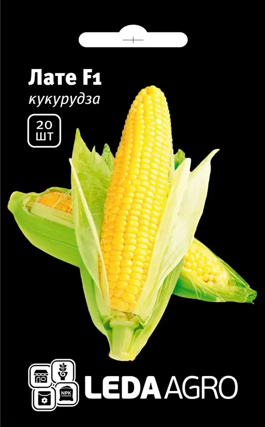 Насіння кукурудзи Лате F1, 20 шт — гібрид середньоранньої суперсолодкої цукрової кукурудзи LEDAAGRO