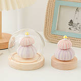 Нічник гриб із морських їжачків на батарейках, фото 8