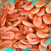 Креветка Атлантична 180шт/кг