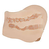 Реалістичний мастурбатор з подвійним отвором вагіна та анус та віброяйцем Crazy Bull Mila, фото 7