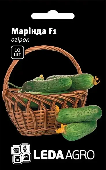 Насіння огірка Маринда F1, 10 насінин — ультраранній гібрид (40-45 днів), партенокарпик, LEDAAGRO