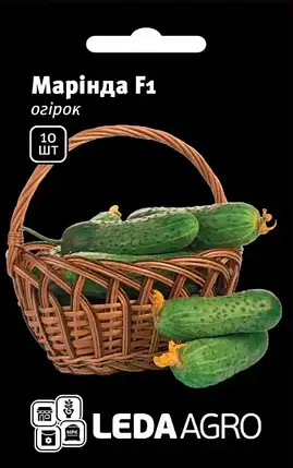Насіння огірка Маринда F1, 10 насінин — ультраранній гібрид (40-45 днів), партенокарпик, LEDAAGRO, фото 1