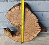 Зріз дерева для творчості, дубова заготовка,d 330х340мм., фото 6