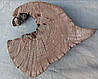 Зріз дерева для творчості, дубова заготовка,d 330х340мм., фото 7