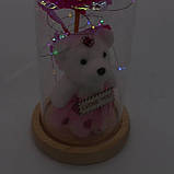 Вічна Троянда в колбі з ведмедиком 21 см + підсвітка / Нічник вічна роза / Подарункова троянда коханій, фото 2