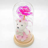 Вічна Троянда в колбі з ведмедиком 21 см + підсвітка / Нічник вічна роза / Подарункова троянда коханій, фото 6
