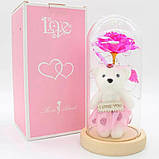 Вічна Троянда в колбі з ведмедиком 21 см + підсвітка / Нічник вічна роза / Подарункова троянда коханій, фото 10