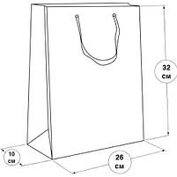 Пакет подарунковий (26х10х32 см), мікс видів [tsi254096-TSI], фото 2