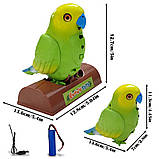 Іграшка-повторюшка папуга Funny Parrot TT8005 / Інтерактивна дитяча іграшка / Говоряща іграшка для дітей, фото 7