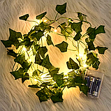 Гірлянда Листя плюща на батарейках 2м, Теплий білий / Декоративна гірлянда з листя / Гірлянда лоза штучна, фото 3