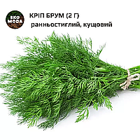 Кріп Брум (2 г) - ранньостиглий, кущовий - ( zip-пакет)