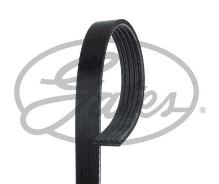 Приводний ремінь на БМВ Е39 (Bmw E39, E46) Gates 5PK838