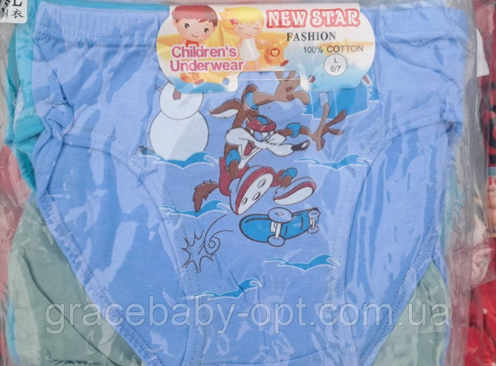 Трусики для хлопчиків оптом, 2/3-10/11 рр., № 01016, фото 1