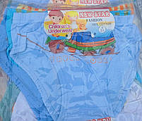 Трусики для хлопчиків оптом, 2/3-10/11 рр., № 01017, фото 2
