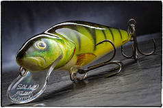SALMO