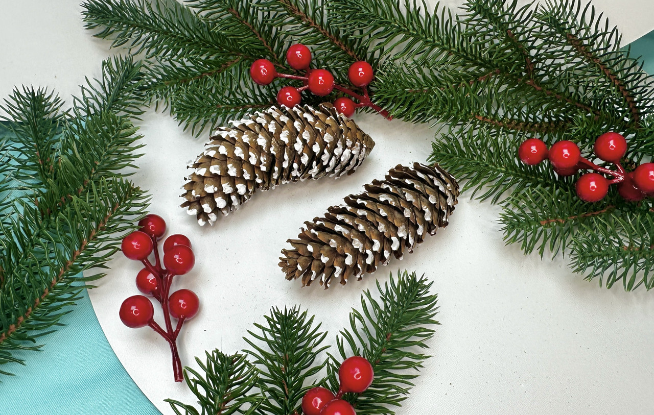 Шишка натуральна для декору 10см - 15см з білим, за 1 шт, фото 1