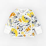 Комплект для немовлят 3 в 1 з начосом з єнотиками Raccoon, фото 2